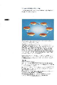 Digital Equipment Corp. (DEC) - Computer-aided Software Engineering