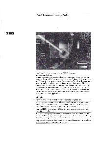 Digital Equipment Corp. (DEC) - VAX Performance and Coverage Analyzer