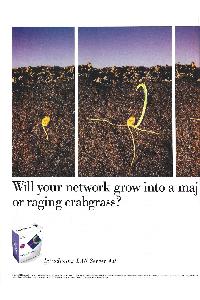 IBM (International Business Machines) - Will your network grow into a maj or raging crabgrass?